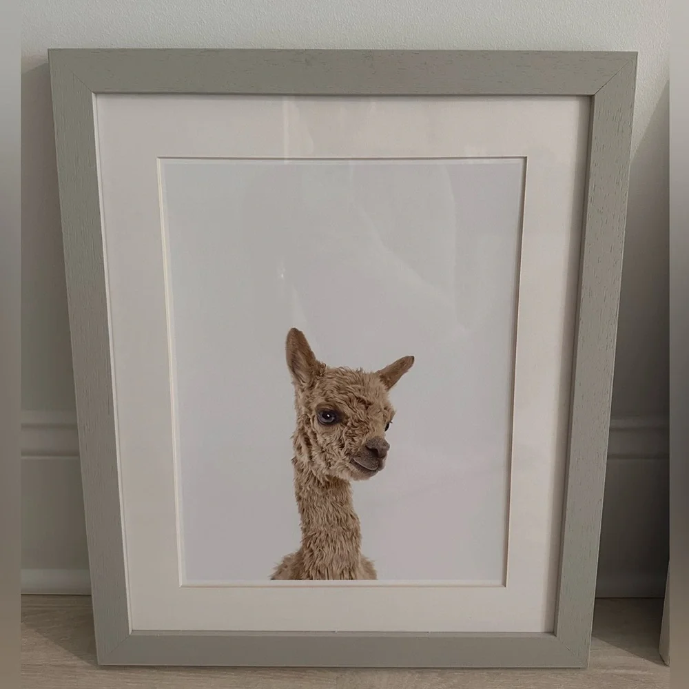 Restoration Hardware Baby Animal Alpaca CloseUp Portrait